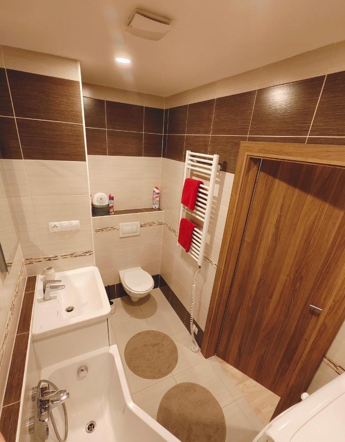 קרלובי וארי Apartman V Centru מראה חיצוני תמונה