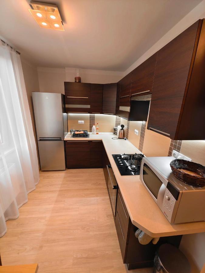 קרלובי וארי Apartman V Centru מראה חיצוני תמונה